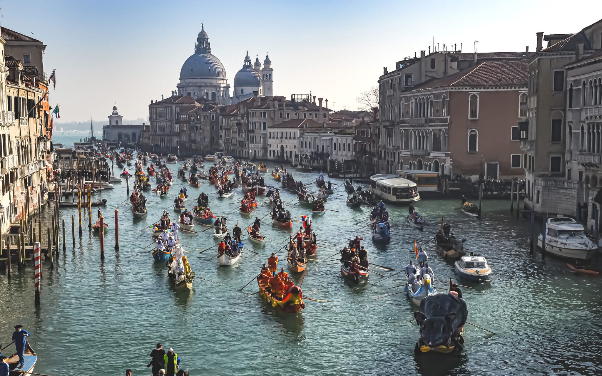 Venice Carnival Street Show Carnevale Di Venezia 2023 Sito Ufficiale