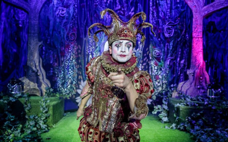 Carnival Official Dinner Show 2025 - Carnevale di Venezia - sito ufficiale